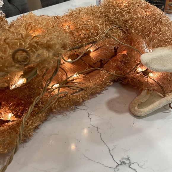 Indoor/Outdoor Christmas 🎄 Kitty Decor with Lights - Picture 11 of 16